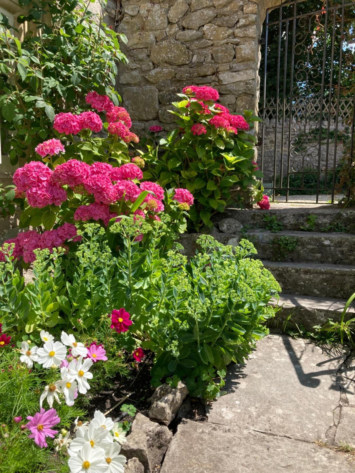 Maplestone Panzió Shepton Mallet Kültér fotó
